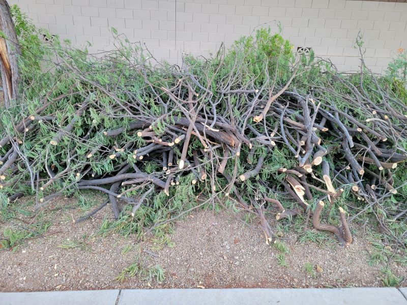 Budget-Smart Upgrades